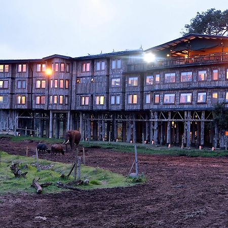 Treetops Mweiga Extérieur photo