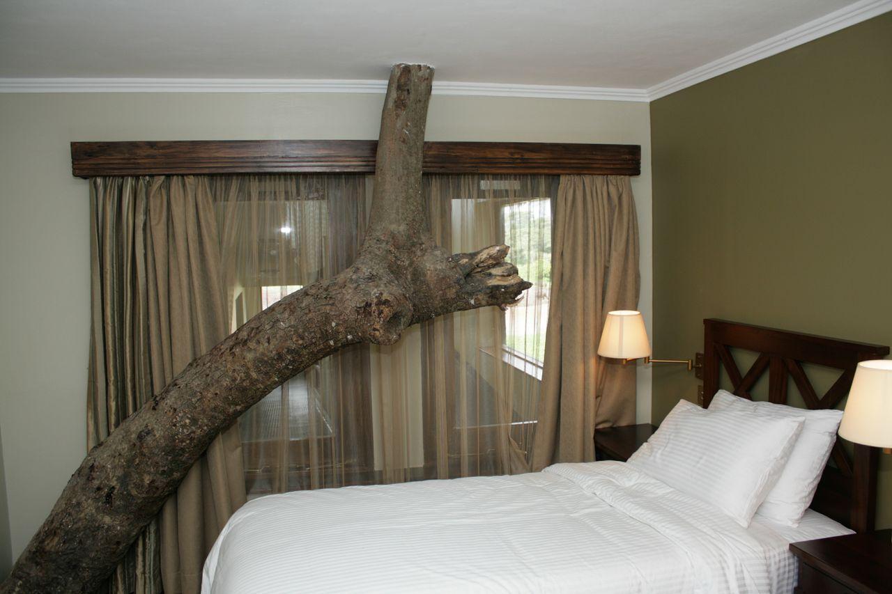 Treetops Mweiga Chambre photo